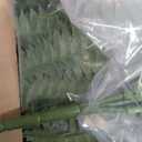 48" Large Artificial Ferns for Outdoors & Indoors, 2 Packs Fake Ferns, 67 Fronds Realistic Faux Fern for Porch Windowsill Garden Home and Office Decor, Planter or Hanging, UV Resistant