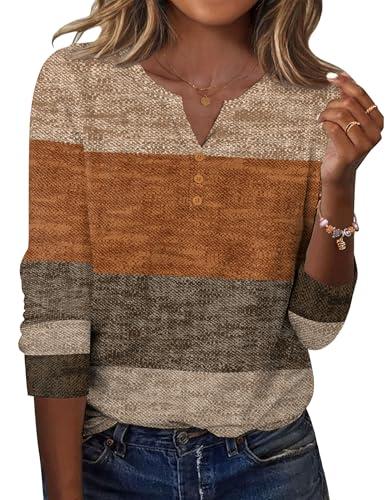 Zeagoo Womens Long Sleeve Tops Patchwork Fall Shirts V Neck Tunic Top Business Dressy Blouses, Large