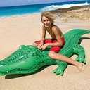 INTEX Inflatable Pool Float: Pool Toy for Kids