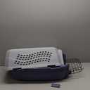 Amazon Basics 2-Door Top-Load Hard-Sided Dogs, Cats Pet Travel Carrier, Gray & Blue, 22.8"L x 15.0"W x 13.0"H