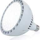 LED Pool Light Bulb for Inground Pool - White and Blue 120V 65W Pool Bulb Replacement for 500W Pentair Hayward Pool Light Fixture