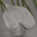 Ling's Moment White Anthurium Flowers, 8pcs Artificial Silk Filler Plants, Faux Greenery Stems for DIY Wedding Bouquets Centerpieces Arrangements Bridal Shower Party Home Decorations