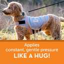 ThunderShirt for Dogs, X Large, Platinum Sport - Dog Anxiety Relief Calming Vest