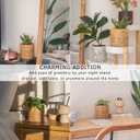 BASE ROOTS Mushroom Planter, Speckled Terracotta, Indoor/Outdoor, Holds Small Plants