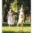 ALPI Chomp Ball - Durable Chew Toys for Dogs & Other Pets - Stimulating Dog Toys for Aggressive Chewers - Soft Dog Chews - 3-Pack, Neon Yellow