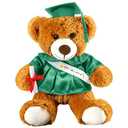 Foilswirl Graduation Bear 2026 with Gown Cap Tassel 14” Kelly Green Graduation Stuffed Animal Plush Bear Toy for Class of 2026 Prek Preschool Kindergarten High School College Graduate Gift