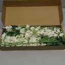 White Delphinium Artificial Flowers, 8PCS Long Stem Silk Larkspur Flowers 33.5'' Faux Delphinium Stems for Tall Vase Home Wedding Table Decor(White)