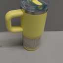 STANLEY Quencher ProTour Flip Straw Tumbler with Leakproof Lid | Built-In Straw & Handle | Cupholder Compatible for Travel | Insulated Stainless Steel Cup | BPA-Free (14 Ounces, Pomelo)