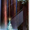 Stonehouse Collection |Christmas Tree in the Forest Holiday Card | 18 Christmas Cards & Envelopes | USA Made- Winter Holiday Forest (Standard)