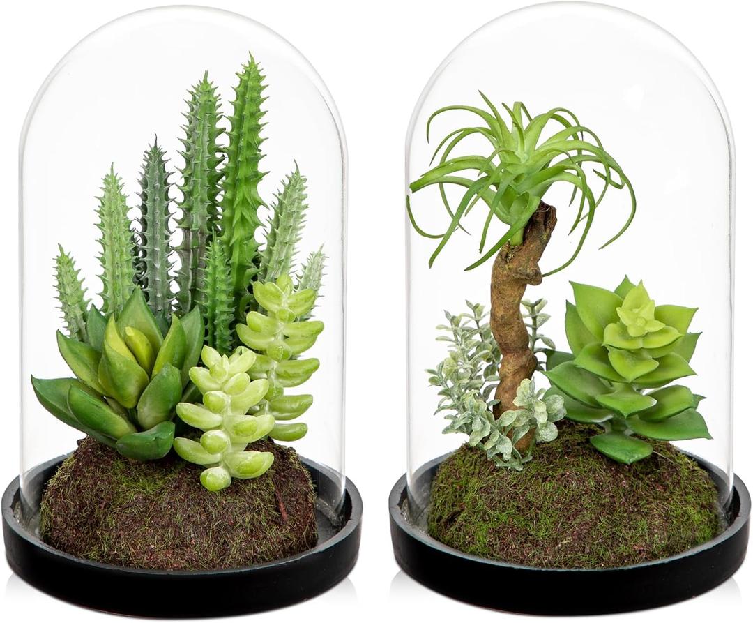 Set of 2 Artificial Succulents Plants in Glass Dome with Featuring Sand Moss, Small Fake Aloe Succulents Plants Faux Plants Indoor Decor for Home Office Table Desk Shelf Room Hostess Gift