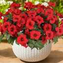 Artificial Flowers for Outdoors, Faux Petunias Spring Summer Decoration, Fake Flowers Plants UV Resistant Look Real Silk Flowers for Outside Planter Front Door Porch Patio Yard (6, Red)