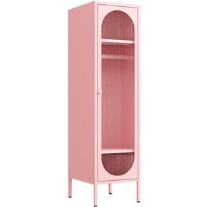 Metal Storage Cabinet for Kids Bedroom, School Classroom,Office, Home-Acrylic Translucent Door-Kids Lockers Cabinet with 2 Shelves and Hanging Rod-Stackable Steel Storage Cabinet for Home(Pink)