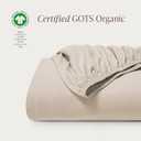 Bare Home 100% Organic Cotton Jersey Fitted Sheet - Queen Size - Ultra Soft - Deep Pocket Fitted Sheet - 100% Cotton - Ring Spun Yarns (Queen, Sand)