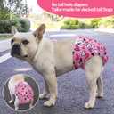 CuteBone Washable Dog Diapers Female No Tail Hole 3 Pack Reusable Doggie Period Training Pants Valentines for Docked-Tail Frenchie French Bulldog Boston Terrier Without Tail WWD20S