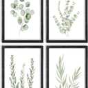 Botanical Wall Decor Sign 16x11 Inch Set of 4 Sage Green Plants Wood Framed For Bathroom Modren Bedroom Aesthetic Watercolor Laundry Room Art Wall Hanging (Black) (16L" x 11W")