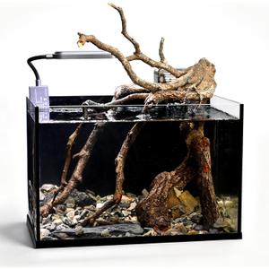 2.8 Gallon Glass Small Fish Tank, Nano Nature Aquarium Starter Kit with Pedestal Base, Light and Filter, Ultra Clear Desktop Fish Tank for Small Fish, Shrimp, Goldfish, or Betta, Black