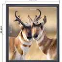 21x24 inch Poster Frame Solid Wood Black, Wall Hanging Picture Frame  (F23B2124)