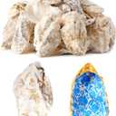30Pcs Extra Large Oyster Shells for Crafts  5"-6" , Oyster Shell for Crafting Seashells for CraftsPaintingWeddingChristmasBeach Theme Decor and CleanOdor-Free Sea Shells for Crafting