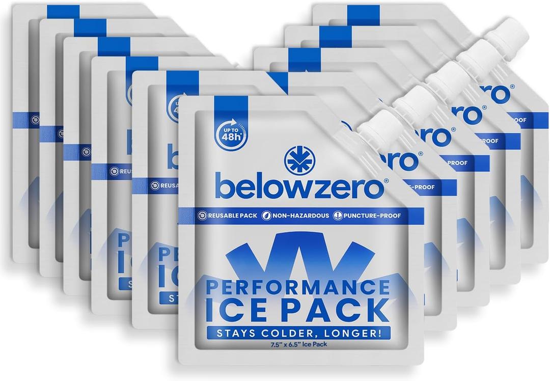 Below Zero Reusable Ice Packs for Coolers  Long Lasting Cooler Ice Pack Blocks, Leak-Proof Freezer Packs for Camping, Lunch Boxes & Travel (7.5x6.5 (10-Pack))
