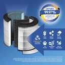 Clorox Medium Room Air Purifier True HEPA Replacement Filter, 1,000 Sq. Ft. Capacity, Removes 99.97% of Allergens up to 0.1 Micron, Compatible with 11030 & 11031, 1 Count (12030)