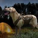 No Pull Dog Harness - Tactical, Breathable Mesh, Pet Walking Hiking Training Vest - Dog Harness for Dogs, Service Dog, Large, Coyote Brown