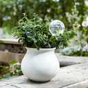 6.4 oz Medium Plant Self Watering Globes, Light Iridescent Glass Water Bulb for Indoor Plants Vacation Use, Automatic Plant Waterer, Watering Spikes Stakes, Perfect Gardening Gifts, 2 Pack