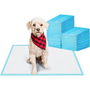 Basics LeakProof Dog and Puppy Potty Training Pee Pads with QuickDry 5Layer Super Absorbent Surface for Dog Training, Floor Protection, Regular Size 22x22", Blue & White, 50 Count