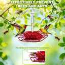 Hummingbird Feeder for Outdoors Hanging,Easy to Clean and Refill,Ant Proof No Leak,with 30 Feeding Ports Saucer Humming Bird Feeder Hummingbird feeders for Window (Red 1)