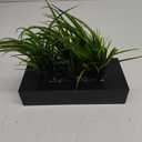 Vintage Home Artificial Faux Lifelike Plastic Fake 14" Tall Green Grass in Black Holder