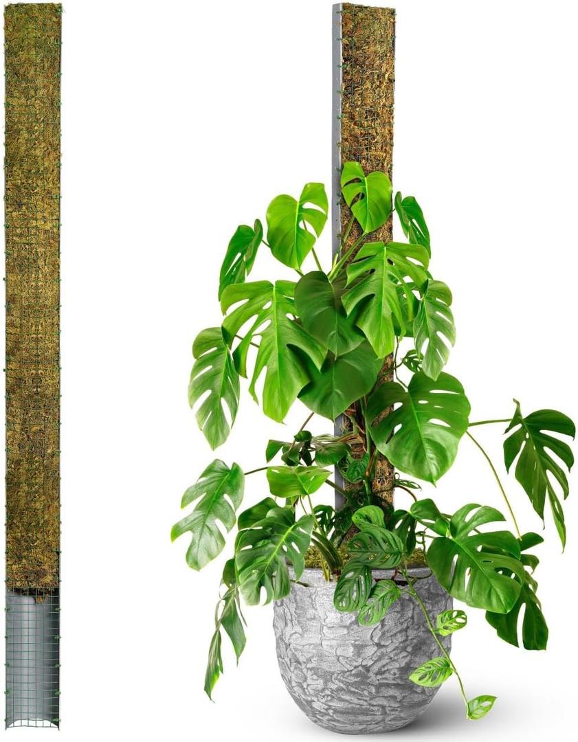 DUSPRO 59 D-Shape Moss Pole for Climbing Plants Monstera Moss Plant Pole Handmade Moss Stick for Indoor Plants Grow Upward (59'', 1pc.)