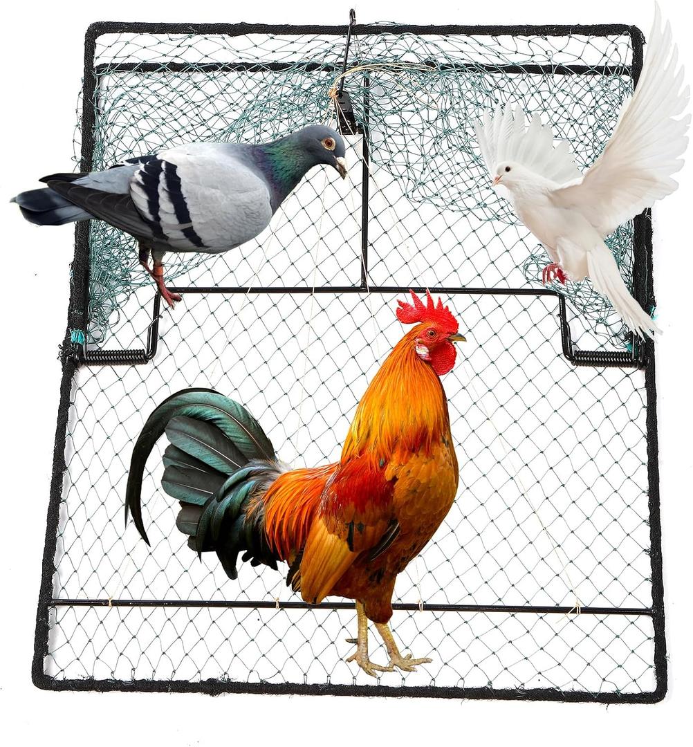 Humane Pigeon Trap,Bird Trap for Quail,Turkey,Net Traps (19.7x23.6 inch)