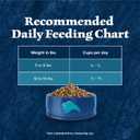Blue Buffalo Wilderness Nature's Evolutionary Diet High-Protein, Grain-Free Natural Dry Food for Adult Cats, Chicken, 6-lb. Bag (EXP 11/21/25)