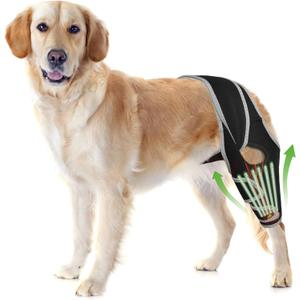 Dog Knee Brace for Back or Front Leg Support, Adjustable ACL Stabilization for Dogs, Helps Protect Joints and Strengthen Weak or Injured Legs Size XXL