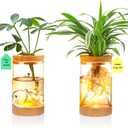 2Pcs Plant Propagation Station with Mountain-Shaped Bottom - Hydroponic Glass Vases, Wooden Base with Lighting, Terrarium Jars for Indoor Growing, Desktop Vivarium, Ideal Gifts for Plant Lovers