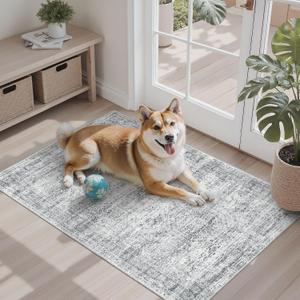 Soalmost 2x3 Washable Rugs for Kitchen, Floor, Entryway, Powder Room Small Area Rug Non-Slip Vintage Low Pile Throw Door Mat Grey