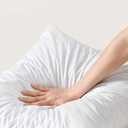 basic home 24x24 Euro Pillow Inserts-Shredded Memory Foam Fill-High Density Throw Pillow Inserts with Long Support-Home Couch Hotel Collection-Cotton Fabric-2 Pack, 2 Count