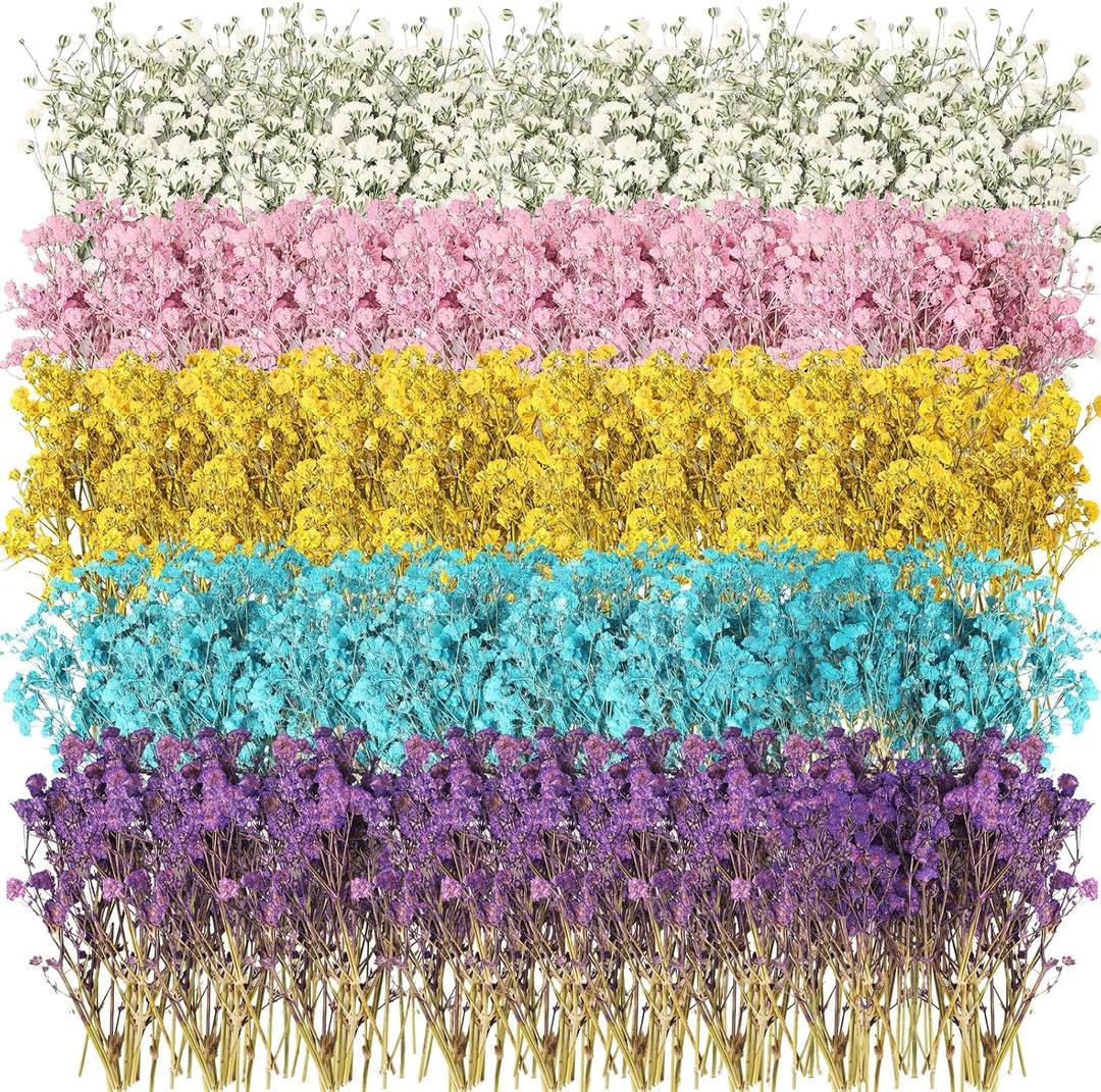 Woanger 100 Pcs Mini Dried Babys Breath Flowers Bulk for Resin Art DIY Craft Dried Natural Gypsophila Branches for Wedding Card Making, Gifts Wrap, Pressed Baby's Breath Flowers Bouquet, 5 Colors