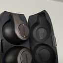 Jabra Elite 65t Alexa Enabled True Wireless Earbuds with Charging Case IP55 rated - Titanium Black 