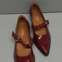 GOUPSKY Mary Jane Shoes Women Chunky Low Heels Buckle Strap Pumps Womens Closed Pointed Toe Ballet Flats Causal Daily Dress Shoes (6, Burgundy)