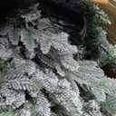 HipTree 7ft Snow Flocked Prelit Christmas Tree Decorations with 300 Dual-Color LED Lights, Lighted Artificial White Xmas Tree for Indoor Decor,Living Room with 1878 Tips, Metal Stand,Plug-in