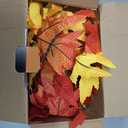 Thanksgiving Decorations for Home Large Maple Leaves 9Ft Plug in Thanksgiving Garland with Lights 50 Orange Bulbs UL Certified Connectable Fall Garland Lights for Indoor Outdoor Harvest Decorations (1 Pack)