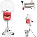 Dental Simulator Manikin Phantom Head Teeth Model Training Bench Mount Fix on Desk