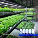 Barrina T5 Plant Lights, 4FT 160W (8 X 20W), 5000K, 8 Packs, Black Cover