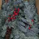 Pre-Lit Artificial Christmas Garland, Green, White Lights 50, Decorated with Pine Cones, Berry Clusters, Plug in, Christmas Decorations, 9 Feet