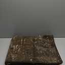 BEQHAUSE Dirt Trapper Door Mat 32" x 48", Non-Slip Doormats Washable Entryway Rugs, Stain Resistant Dog Door Mats Absorbent Welcome Floor Mat for Front Back Door, Mud Wet Shoes & Paws, Brown