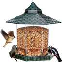 Twinkle Star Wild Bird Feeder Hanging for Garden Yard Outside Decoration, Hexagon Shaped Outside Hanging Bird Feeders for Outdoors Squirrel Proof, Cardinal Bird Feeder (Green) (7.9 x 7.9 x 8.6 inches)