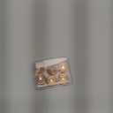 Replacement Heads for Flawless Generation 2, Facial Hair Removal Replacement Heads for Women, Compatible with Finishing Flawless Facial Hair Remover, Double Halo Replacement Heads Gen 2(6 Count)