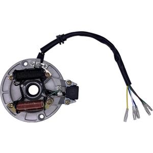 2 Coil Ignition Magneto Stator Compatible with 50cc 70cc 90cc 110cc 125cc Taotao Kazuma SSR Baja ATV Quad Kick Start Dirt Bike