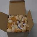 Shappy 50 Pcs Mini Animal Plush Toys Small Stuffed Animals Bulk Cute Tiny Plushies Keychains for Gift Party Carnival Prize (Lion)