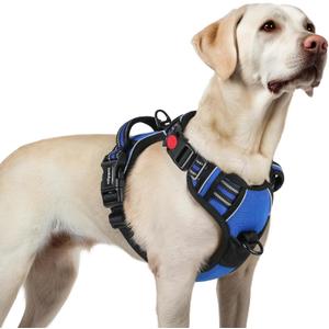 Rabbitgoo Dog Harness for Large, No Pull Pet Harness with 3 Buckles, Adjustable Soft Padded Vest with Control Handle, Walking Reflective Pet Vest for Large Dogs, Blue, L